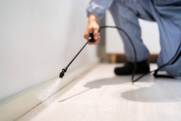 Licensed Termite Control service in Selbyville, DE - Show Me Pest Control